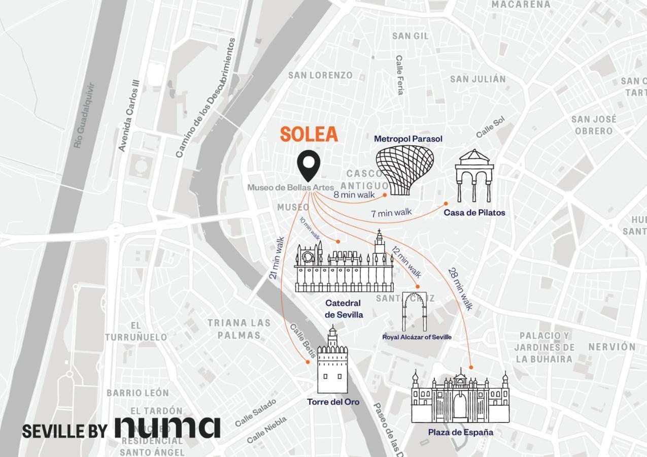 Numa Solea Siviglia